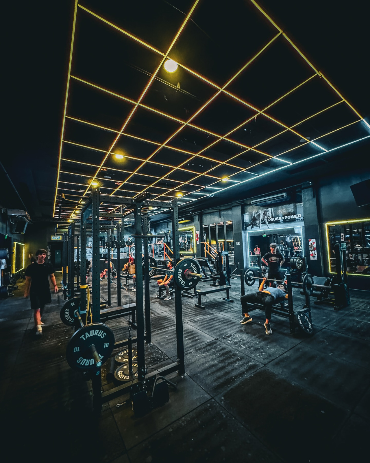 Conocé Magnus - Gimnasio Magnus